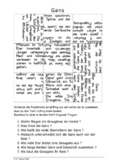 Gans.pdf